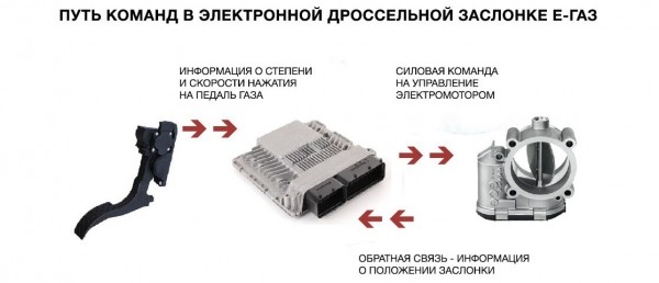 Ты здесь не главный: как на самом деле работает электронная педаль газа